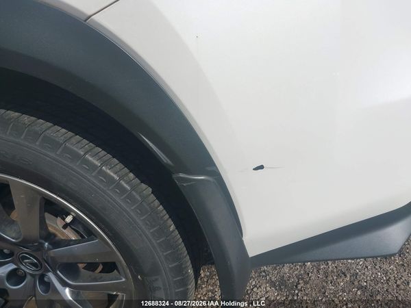 2019 LEXUS NX 300 300 Luxury