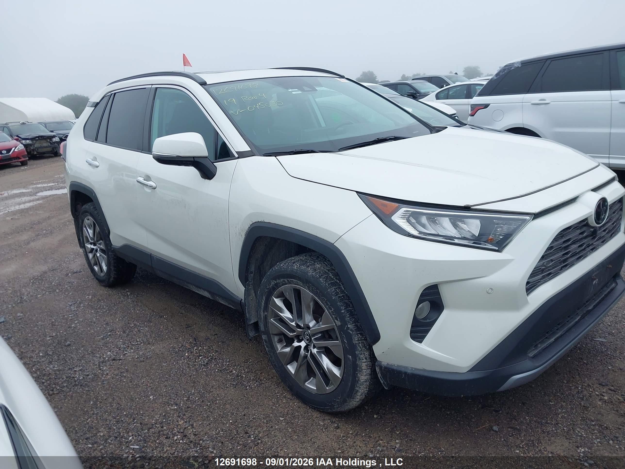 2019 TOYOTA RAV4 LIMITED