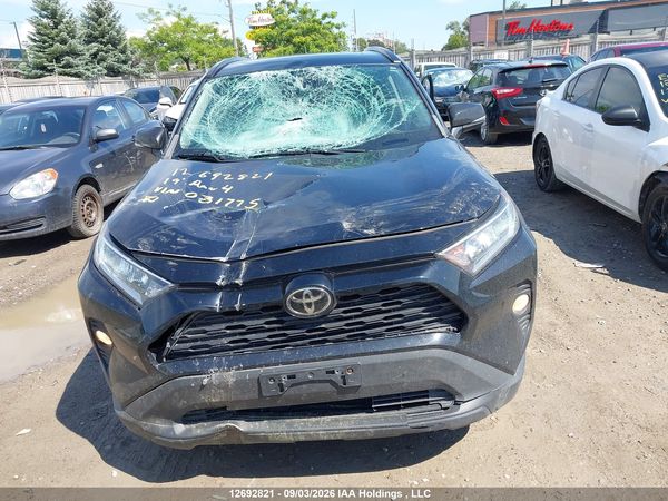2019 TOYOTA RAV4 XLE/XLE PREMIUM — I6