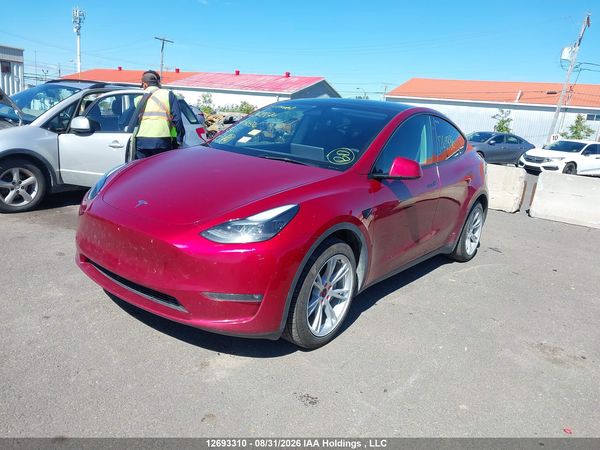 2024 TESLA MODEL Y