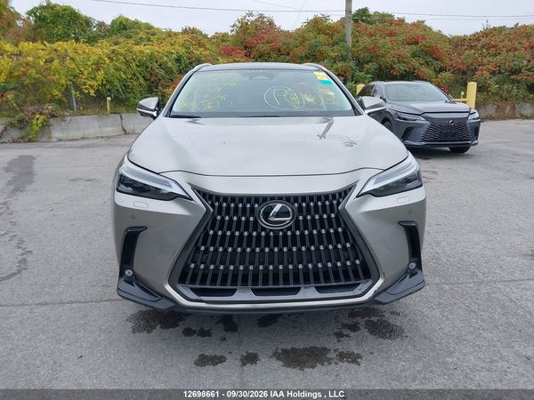 2024 LEXUS NX 350H — I13