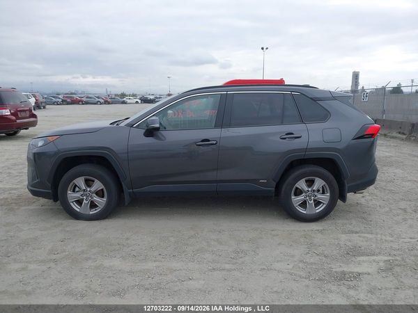2025 TOYOTA RAV4 LE — I13