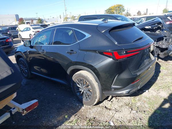 2025 LEXUS NX 250 350 Base — I3