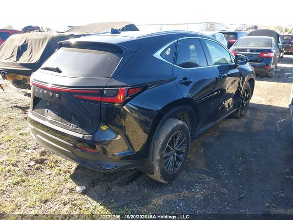 2025 LEXUS NX 250 350 Base — I4