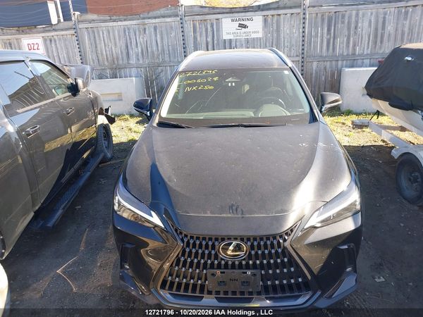 2025 LEXUS NX 250 350 Base — I6