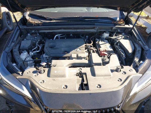 2025 LEXUS NX 250 350 Base — I10