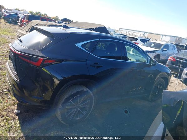 2025 LEXUS NX 250 350 Base — I14