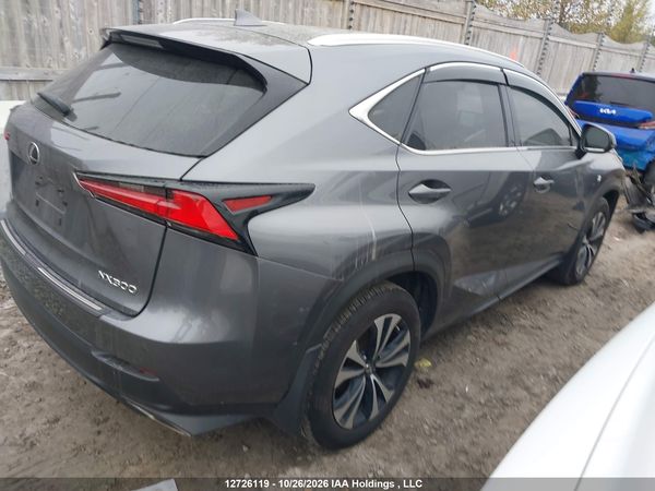 2019 LEXUS NX 300 300 Luxury — I4