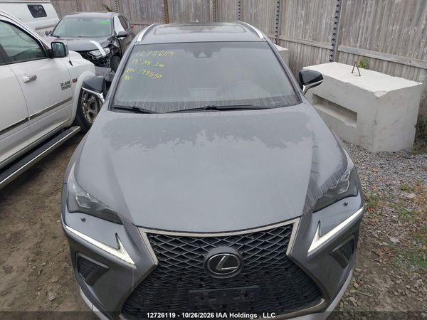 2019 LEXUS NX 300 300 Luxury — I6