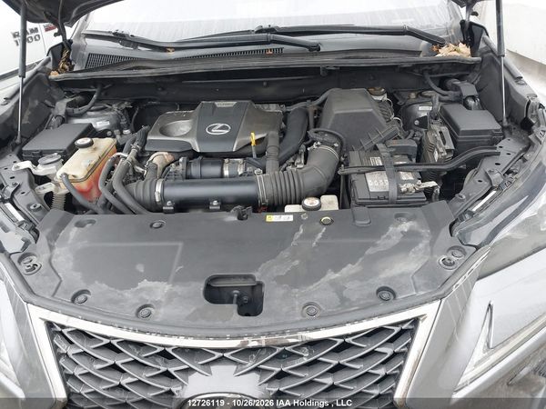 2019 LEXUS NX 300 300 Luxury — I10