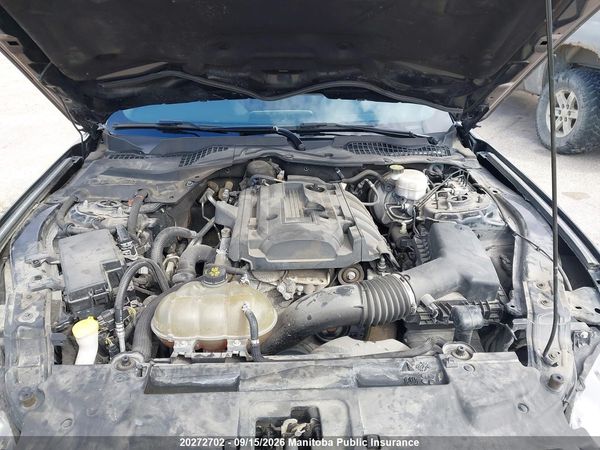 2019 FORD MUSTANG I4 Coupe
