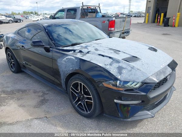 2019 FORD MUSTANG I4 Coupe