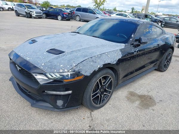 2019 FORD MUSTANG