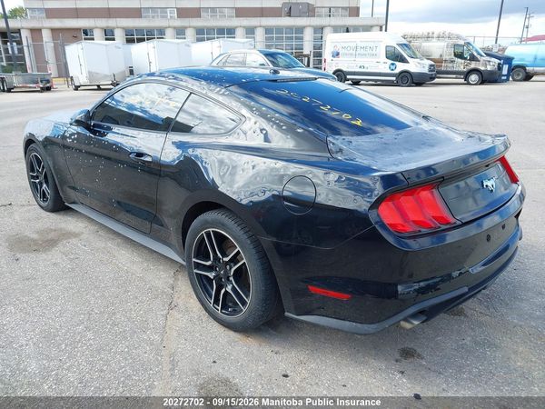 2019 FORD MUSTANG I4 Coupe