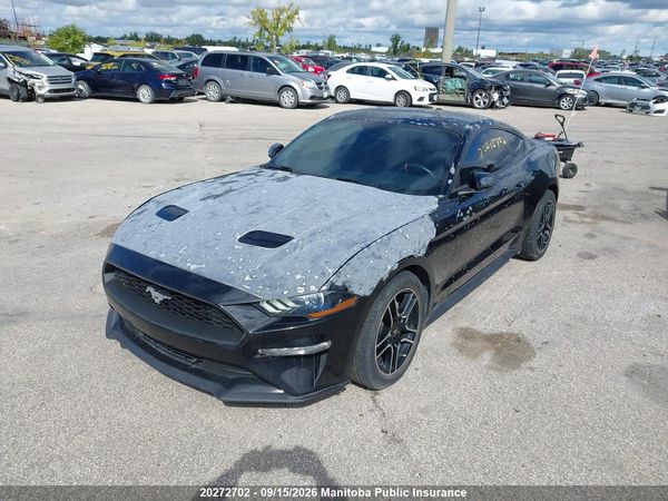2019 FORD MUSTANG I4 Coupe