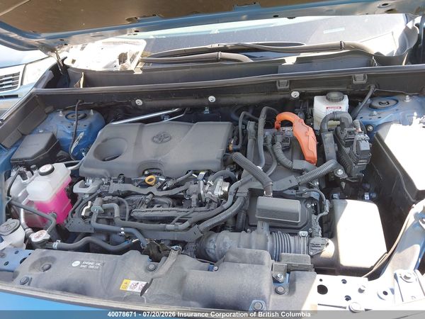 2024 TOYOTA RAV4 SE