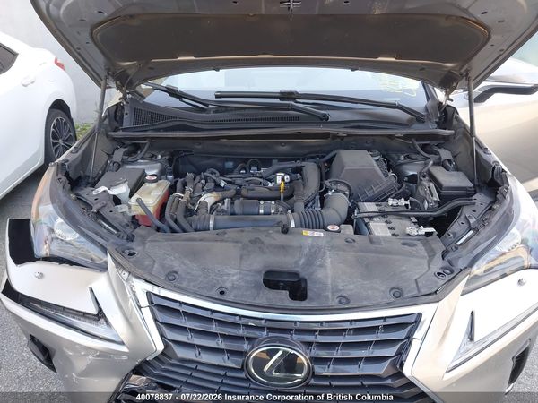 2019 LEXUS NX 300 BASE/300 F SPORT