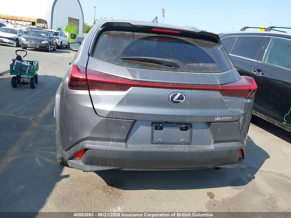 2020 LEXUS UX 250H 250h Luxury