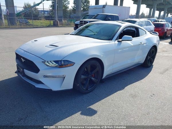 2019 FORD MUSTANG — I2
