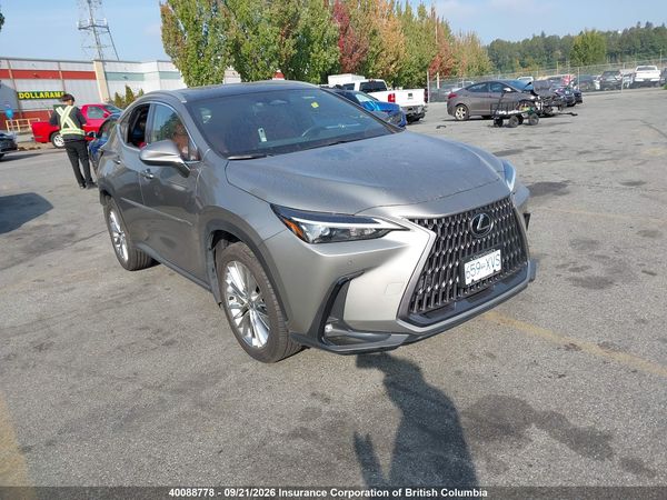 2024 LEXUS NX 350H — I1