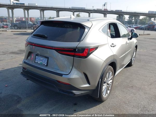 2024 LEXUS NX 350H — I4