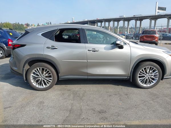 2024 LEXUS NX 350H — I13