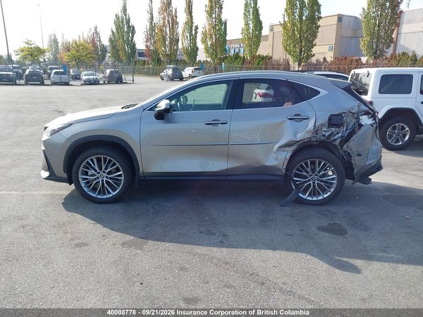2024 LEXUS NX 350H — I14