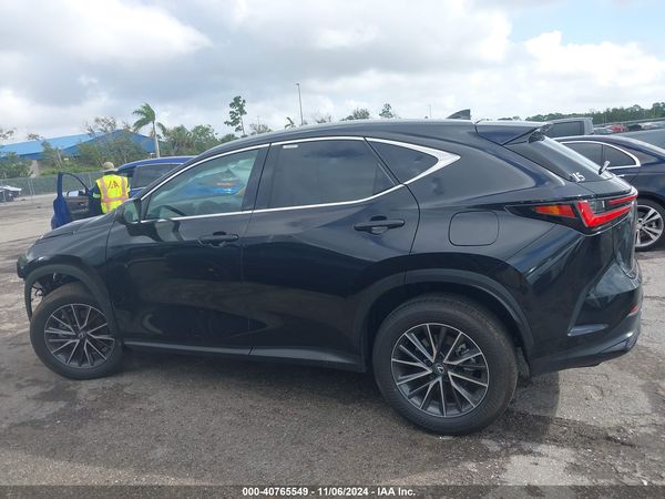 2025 LEXUS NX 250 350 Base