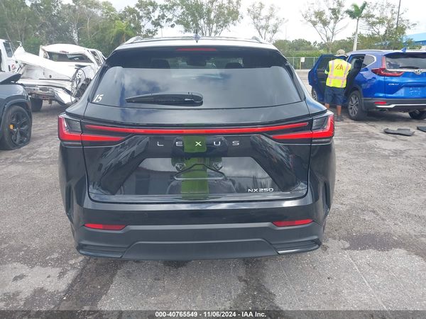 2025 LEXUS NX 250 350 Base
