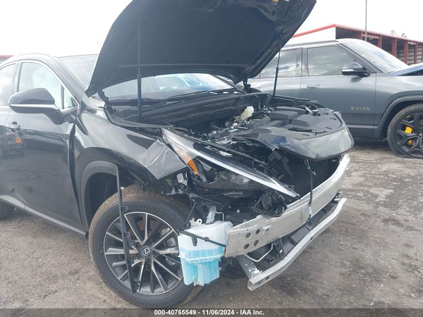 2025 LEXUS NX 250 350 Base