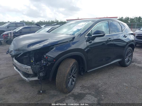 2025 LEXUS NX 250 350 Base