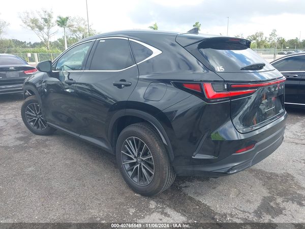2025 LEXUS NX 250 350 Base
