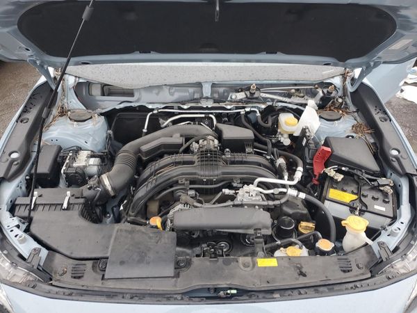 2019 SUBARU CROSSTREK Limited+ES+BSD
