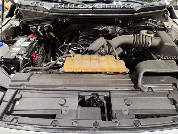 2019 FORD F150