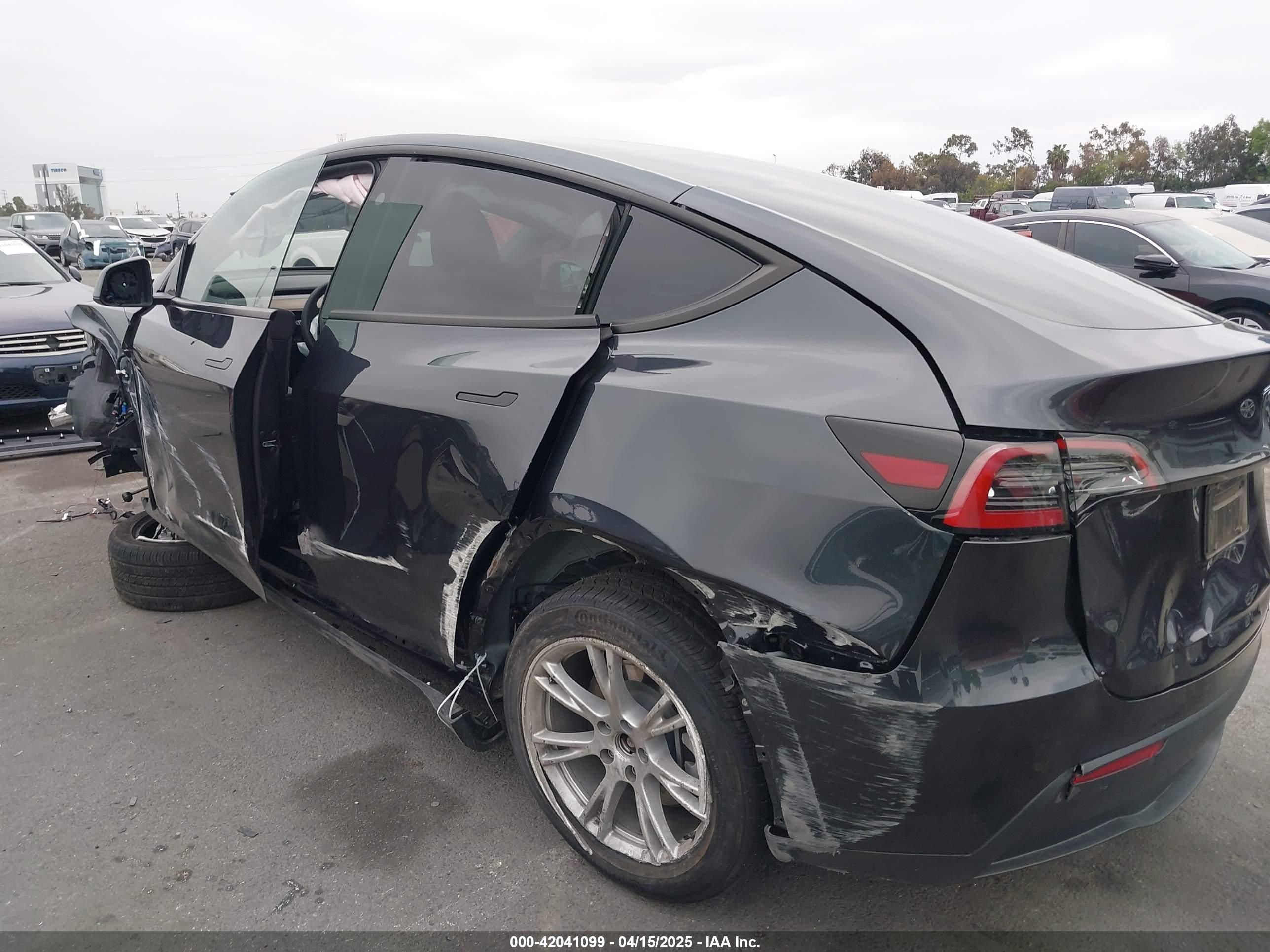 2024 TESLA MODEL Y RWD