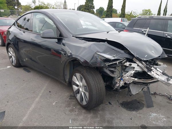 2024 TESLA MODEL Y RWD