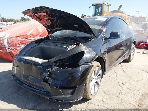 2024 TESLA MODEL Y RWD