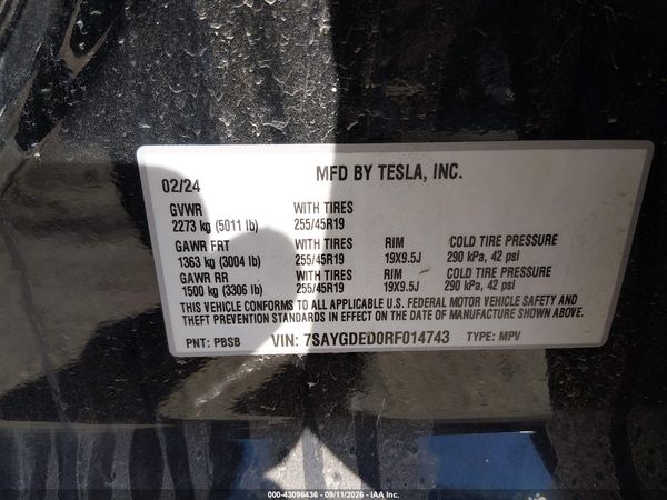 2024 TESLA MODEL Y RWD