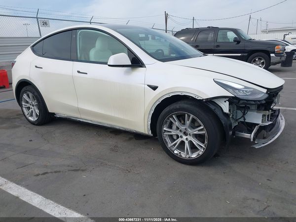 2021 TESLA MODEL Y