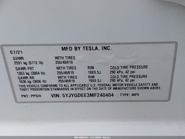 2021 TESLA MODEL Y