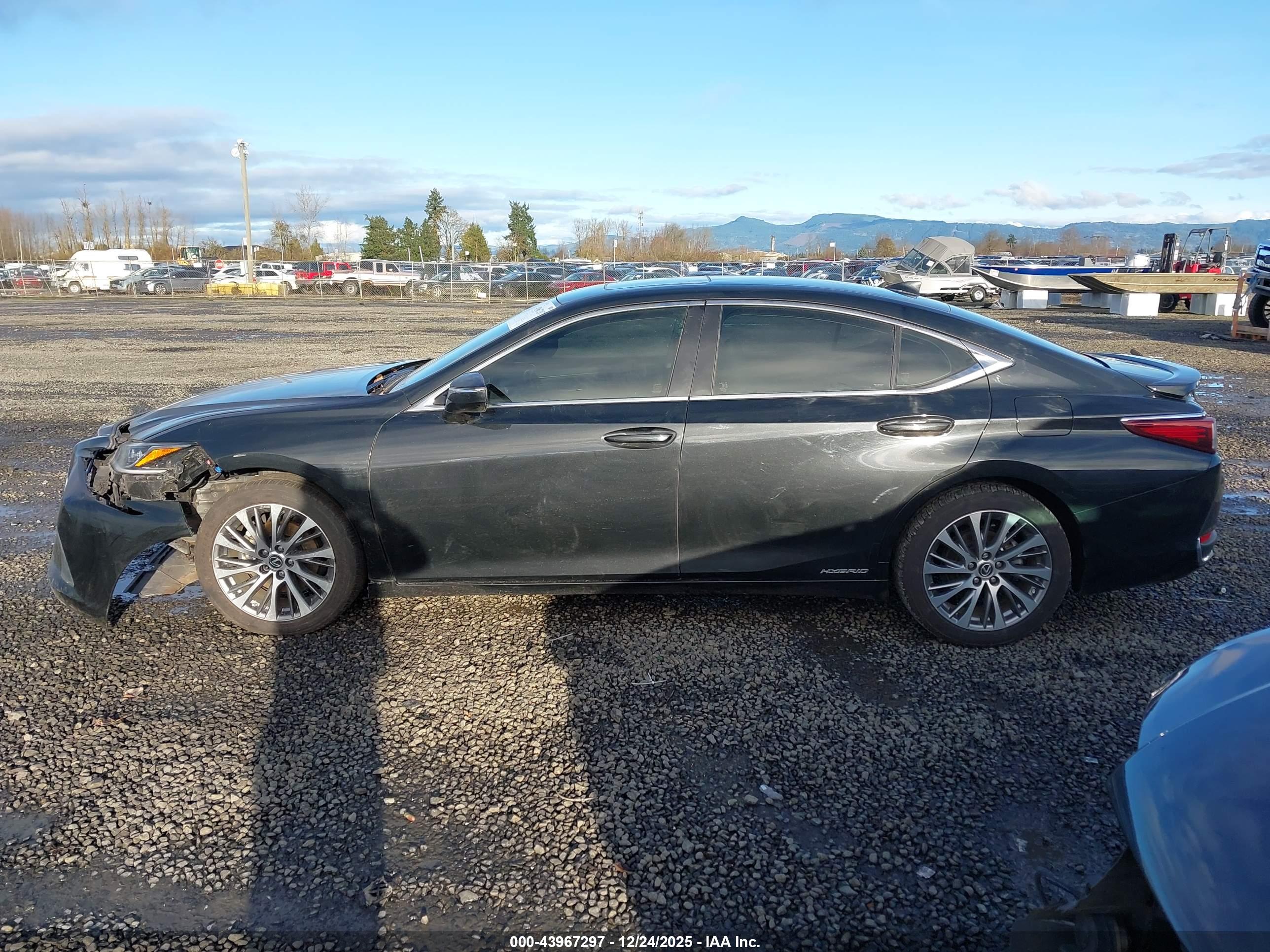 2019 LEXUS ES 300H
