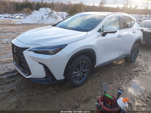 2025 LEXUS NX 350 PREMIUM