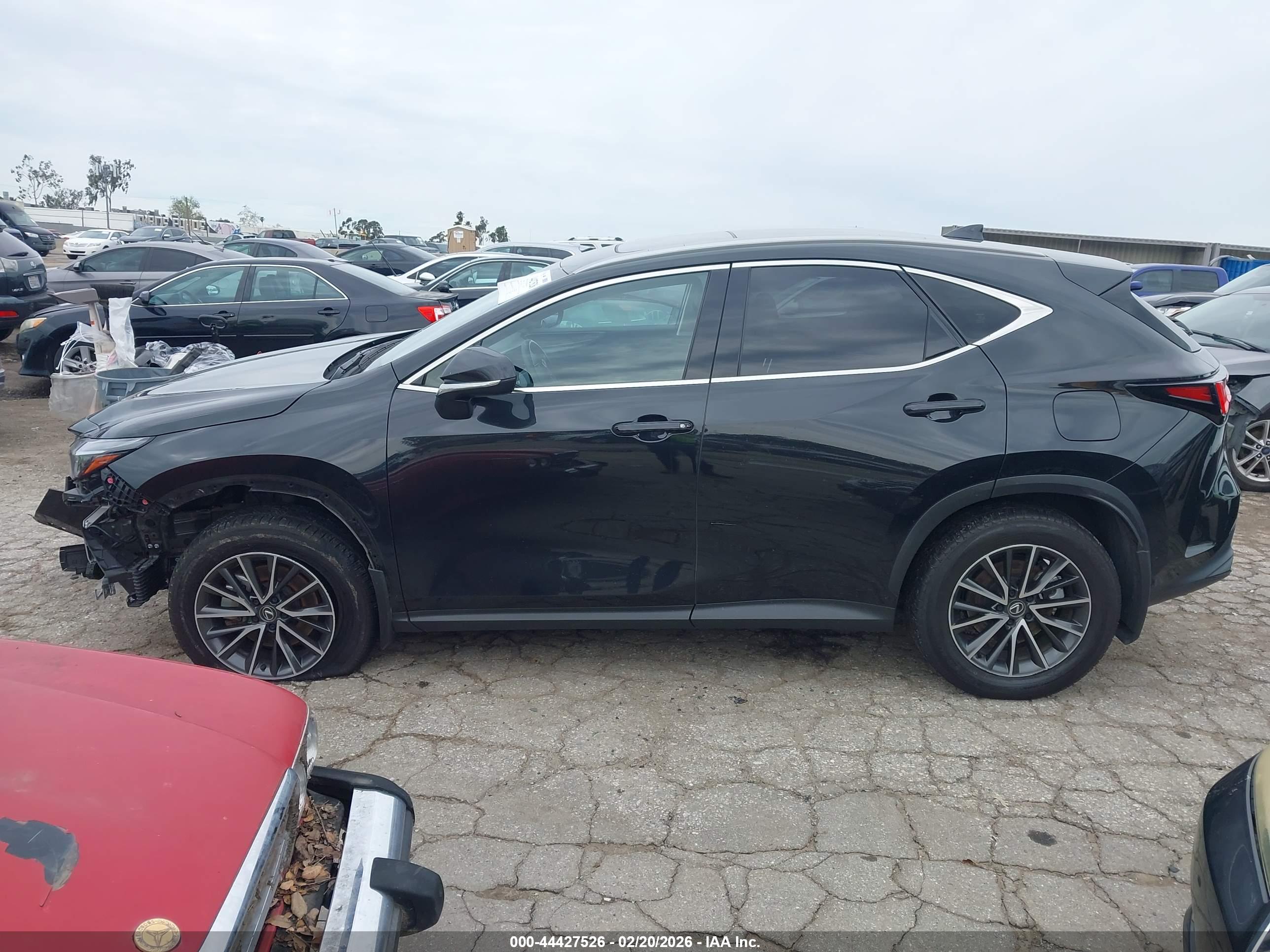 2024 LEXUS NX 350H PREMIUM