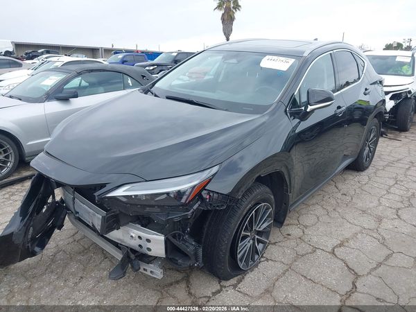 2024 LEXUS NX 350H PREMIUM