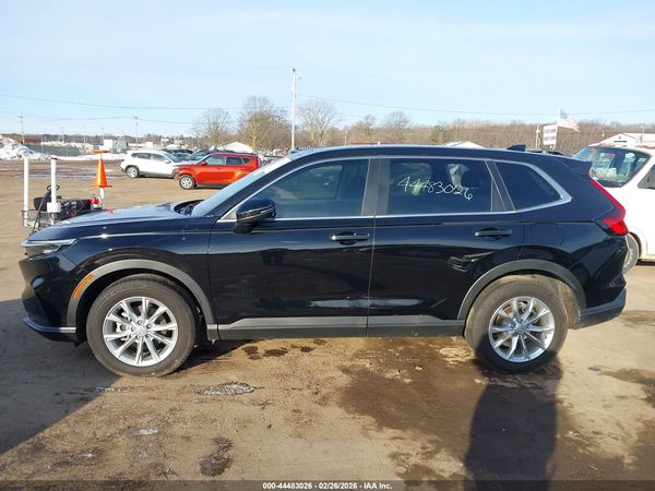 2025 HONDA CR-V EX-L AWD