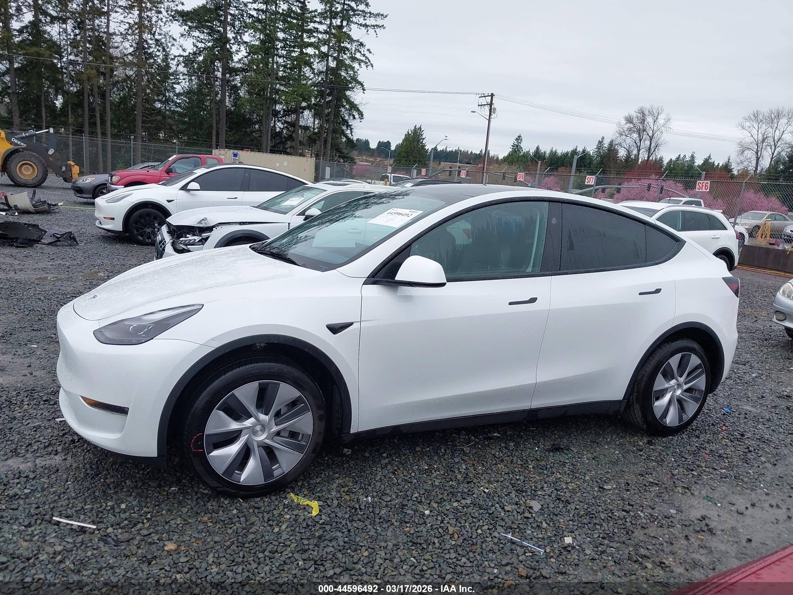 2023 TESLA MODEL Y