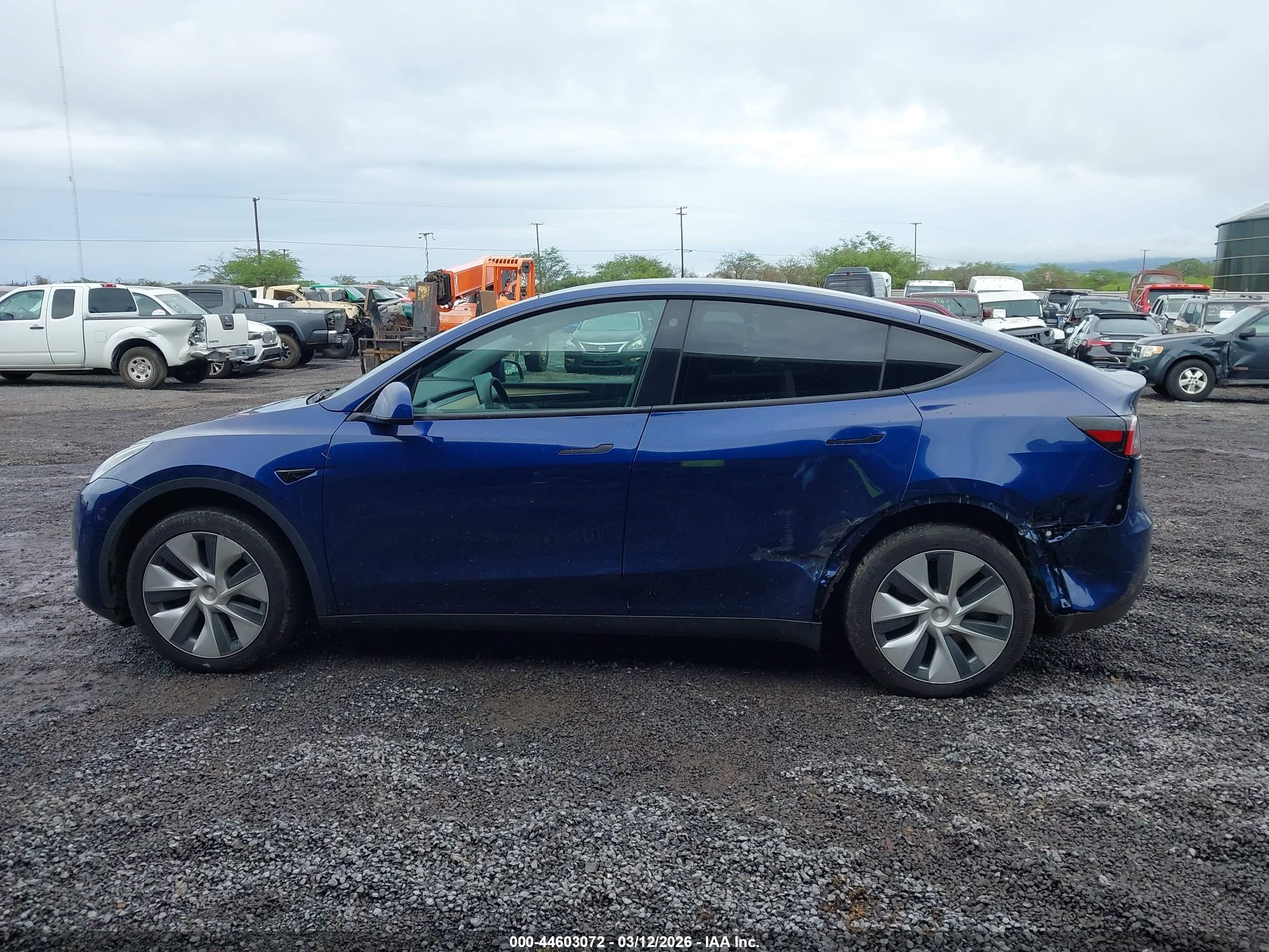 2023 TESLA MODEL Y