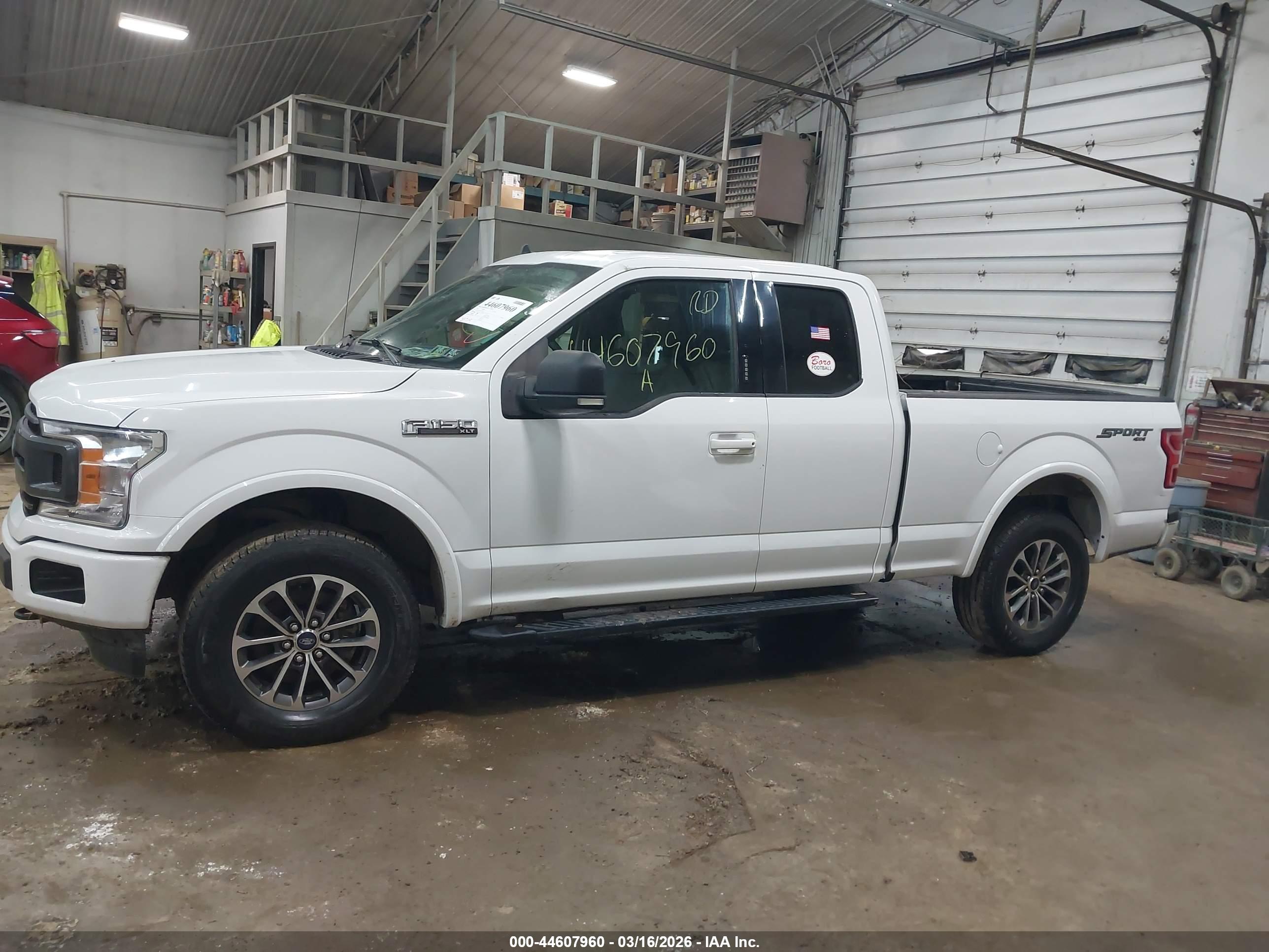2019 FORD F-150 XLT
