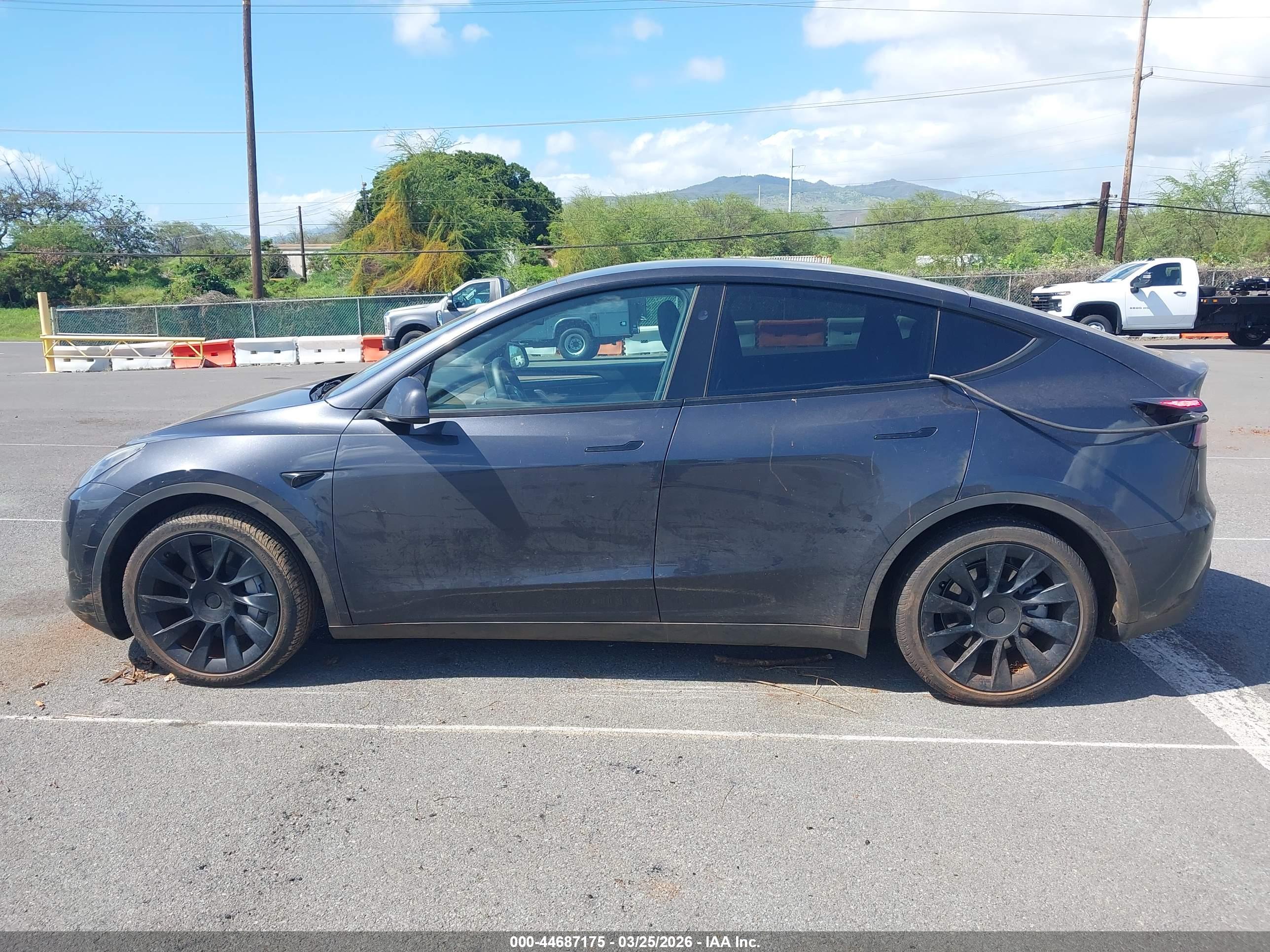 2024 TESLA MODEL Y