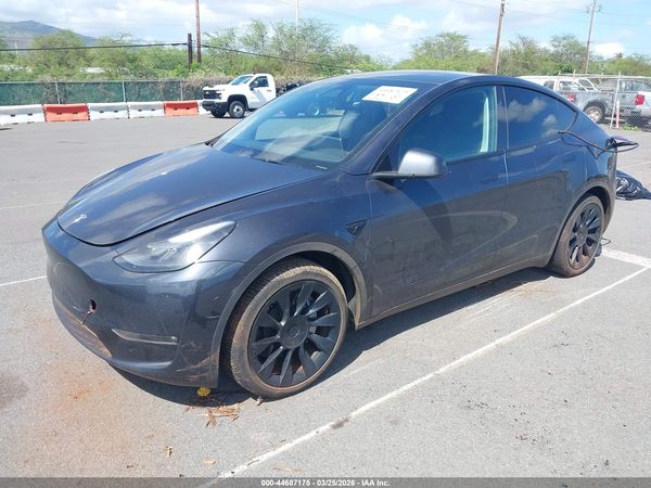2024 TESLA MODEL Y